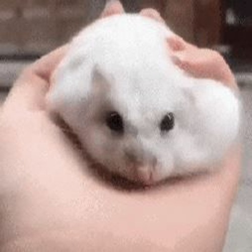 artworks-bAe4BprkAmEnchL0-K8j66Q-t500x500